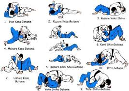 Judo Newaza-BJJ techniques.